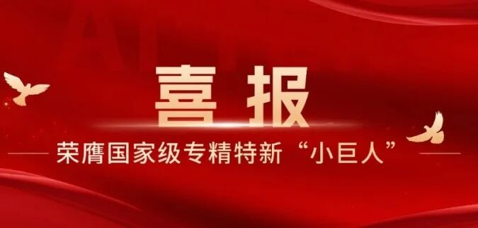 BB贝博艾弗森荣膺国家级专精特新“小巨人”